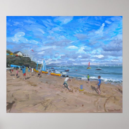 ビーチクリケットアバソーチ2013 ポスター (正面)