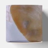 ビーチク結婚ラム フェイバーボックス (上部)