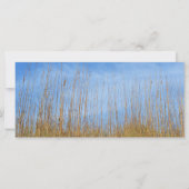 ビーチグラスバイシャーリーテイラー (裏面)