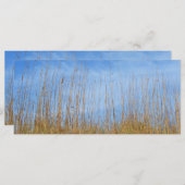 ビーチグラスバイシャーリーテイラー (正面/裏面)