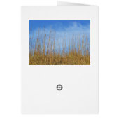 ビーチグラスバイシャーリーテイラー (裏面)