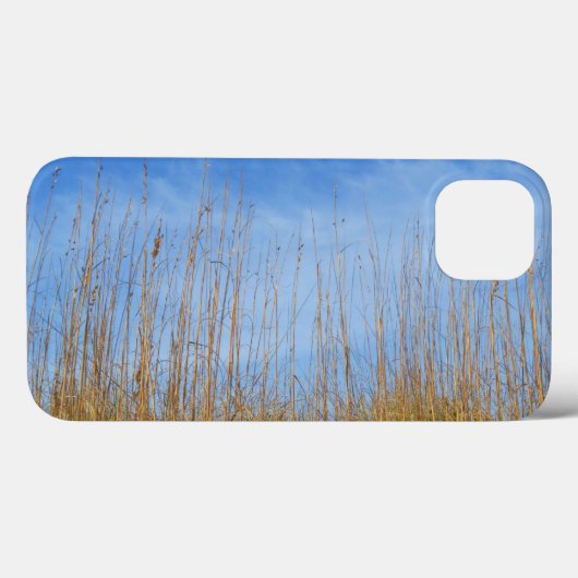 ビーチグラスバイシャーリーテイラー Case-Mate iPhoneケース (裏面 (横))