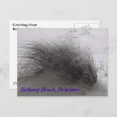 ビーチグラスベタニーポストカード ポストカード (正面/裏面)