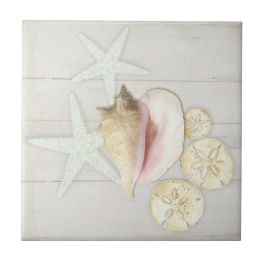 ビーチコテージスターフィッシュサンドドルコンチシェルウッド タイル (正面)