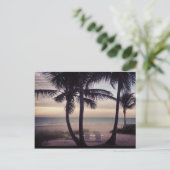 ビーチコマーズパラダイス ポストカード (スタンド正面)