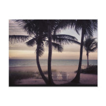 ビーチコマーズパラダイス