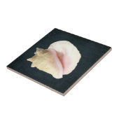 ビーチコンチシーシェルコースタルシェルネイビーブルーウッド タイル (側面)