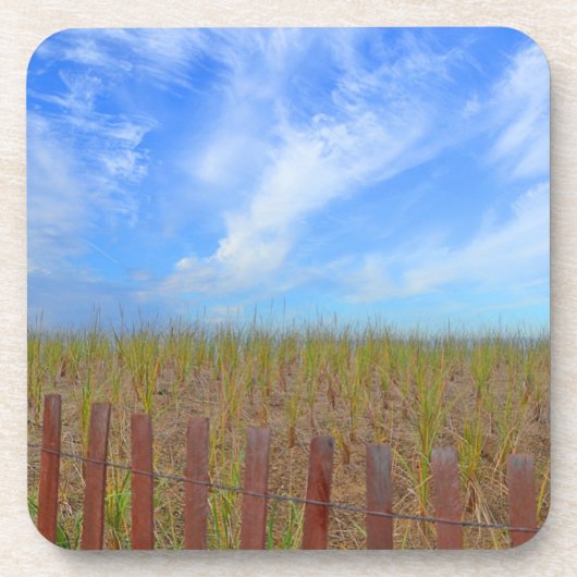 ビーチコースター コースター (正面)