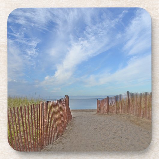 ビーチコースター コースター (正面)