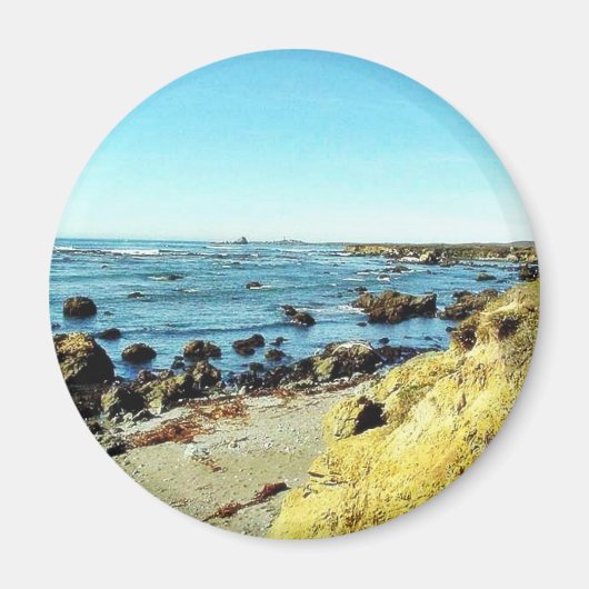 ビーチコーストインモントレー海水海 マグネット (正面)