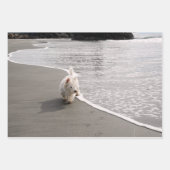 ビーチコーミングウェスティフォトラッピング紙 ラッピングペーパーシート (正面3)