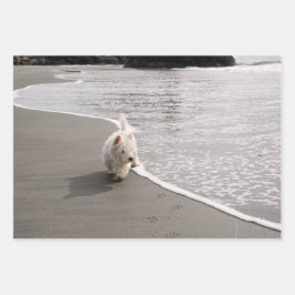 ビーチコーミングウェスティフォトラッピング紙 ラッピングペーパーシート