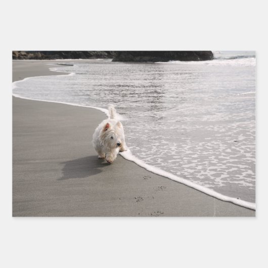 ビーチコーミングウェスティフォトラッピング紙 ラッピングペーパーシート (正面)