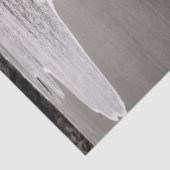 ビーチコーミングウェスティーティッシュペーパー 薄葉紙 (詳細)