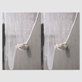 ビーチコーミングウェスティーティッシュペーパー 薄葉紙