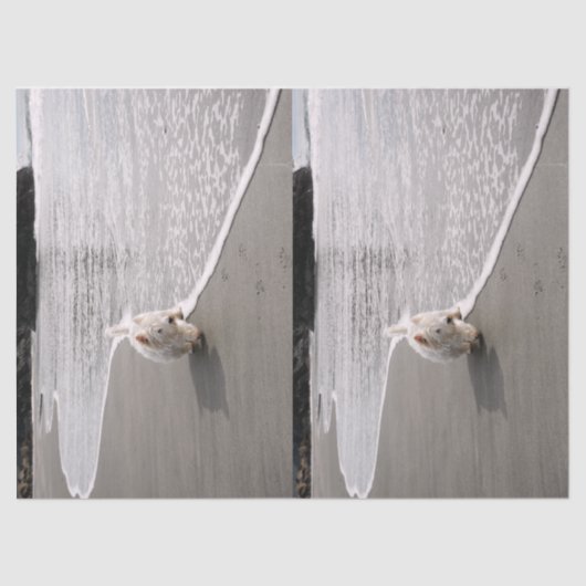 ビーチコーミングウェスティーティッシュペーパー 薄葉紙 (正面)