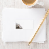 ビーチコーミングウェスティー写真文房具 ラベル (インサイチュ)