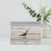 ビーチコーミングシーガルOBXポストカード ポストカード (スタンド正面)