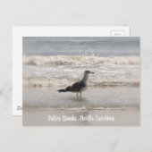 ビーチコーミングシーガルOBXポストカード ポストカード (正面/裏面)