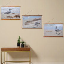 ビーチコーミングシーグルス写真コースト