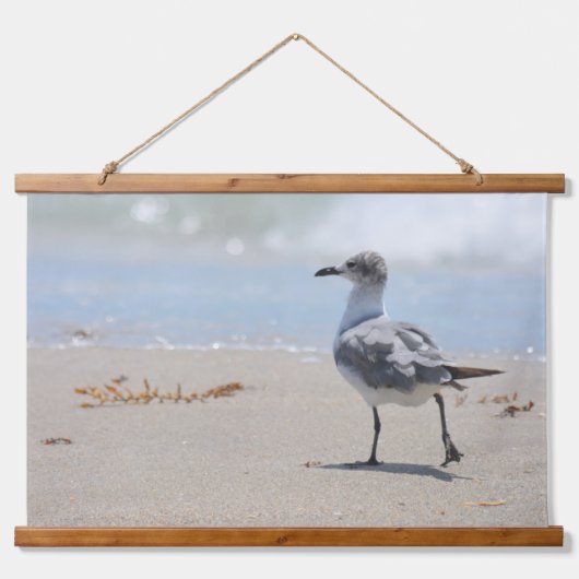 ビーチコーミングシーグルス写真コースト 吊り下げ型タペストリー (正面3)