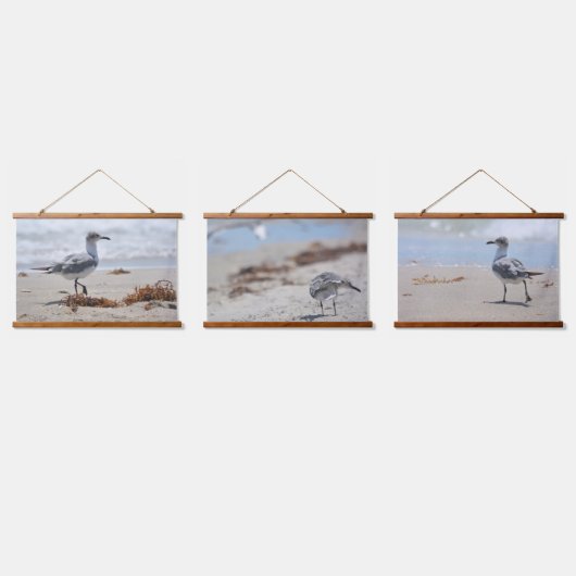 ビーチコーミングシーグルス写真コースト 吊り下げ型タペストリー (トリプル)