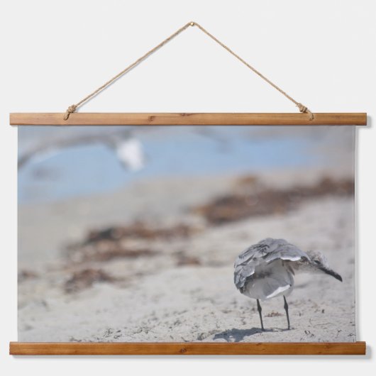 ビーチコーミングシーグルス写真コースト 吊り下げ型タペストリー (正面2)