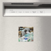 ビーチコーンマグネットシーグラスシーガラス化石 マグネット (インサイチュ (食洗機))