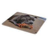 「ビーチサイド仲間たち – ふわふわでカニ仲間たち」 カッティングボード (角)