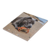 「ビーチサイド仲間たち – ふわふわでカニ仲間たち」 タイル (側面)