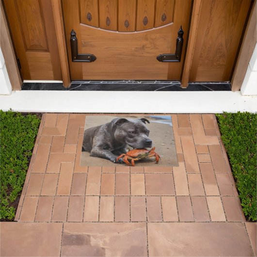 「ビーチサイド仲間たち – ふわふわでカニ仲間たち」 ドアマット (室外)