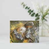 ビーチサンダル春 ポストカード (スタンド正面)