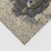 ビーチサンディカニデコパージティッシュペーパー 薄葉紙 (詳細)