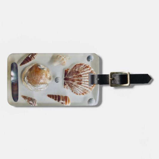 ビーチシェルコレクション ラゲッジタグ (正面横)