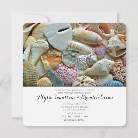 ビーチシェルトロピカルデザイ結婚ナーズステーショナリー 招待状 (正面)