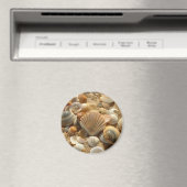 ビーチシェル磁石 マグネット (インサイチュ (食洗機))