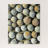 ビーチシェル16x20インチ ジグソーパズル (縦)