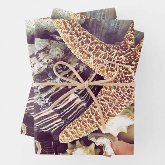 ビーチシェル ラッピングペーパーシート (インサイチュ)