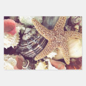 ビーチシェル ラッピングペーパーシート (正面)