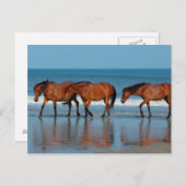 ビーチシスターズ ポストカード (正面/裏面)