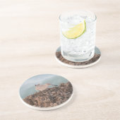 ビーチショアードウィレットティール(緑がかった色)海背景 コースター (側面)