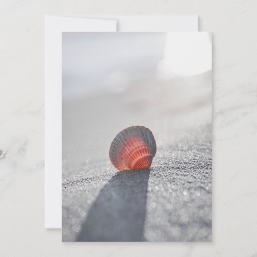 ビーチシンプルシーセルお祝いのライフ 招待状 (裏面)