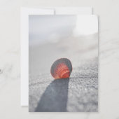 ビーチシンプルシーセルブライダルシャワー 招待状 (裏面)