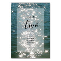 ビーチシーウォーター結婚スパークルズゲスト名