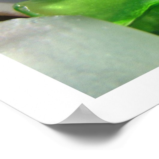 ビーチシーガラスアートプリントコースタルロックガーデン ポスター (角)