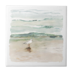 ビーチシーガルコーブ タイル