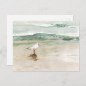 ビーチシーガルコーブ ポストカード (正面/裏面)