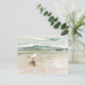 ビーチシーガルコーブ ポストカード (スタンド正面)