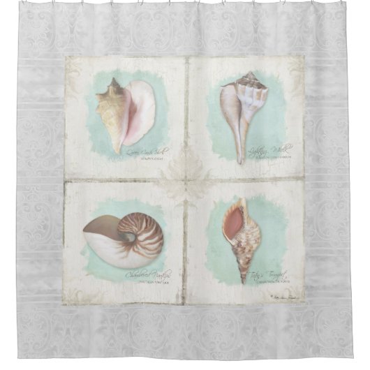 ビーチシーシェルシーサイド海ショアコースタルデコール シャワーカーテン (正面)