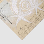 ビーチシーシェルズクリームフランスのポストカードティッシュペーパー 薄葉紙 (詳細)